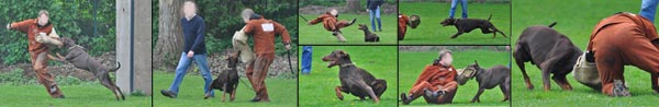 umwerfend, Daxon von Baden bei der ZTP