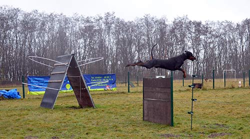 Unterordnung_Huerde
