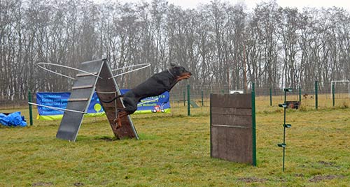 Unterordnung_Huerde