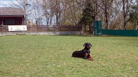 Unterordnung_Platz